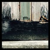 Little cute curious favela cat ;-) : by finally, Views[522]