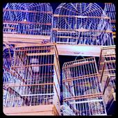 Juste joli! ;-): by finally, Views[344]