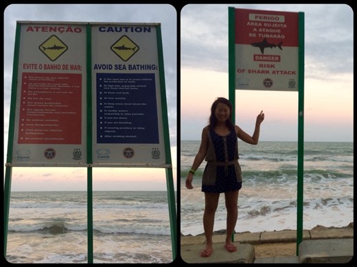 A lot of shark's attacks in the water of Recife. Here are all the recommendations if you want to swim there. 