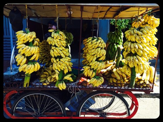 While walking in the streets of Fort Kochi, historical part of Kochi. 