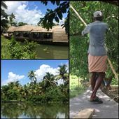 Boat excursion on the backwaters. The backwaters are canals south of Kochi. : by finally, Views[325]