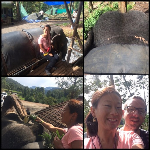 Promenade à dos d'éléphant à Munnar! Vaut mieux pas qu'il se mette à galoper. ;-) 
