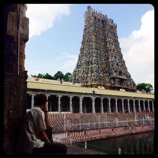 En pleine contemplation 