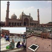 Les femmes doivent porter une sorte de grande tunique et bien sur pieds nus à la mosquée de New Dehli. : by finally, Views[282]