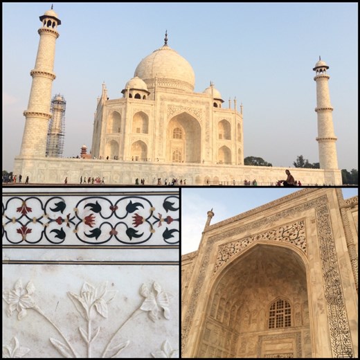 Le Taj Mahal sous différents angles et les détails de ses murs de marbre blanc. 