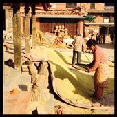 C'est la saison de la récolte du riz. Les gens le sèche et le nettoie dans les rues de Bhaktapur. : by finally, Views[344]