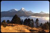 The Annapurna range. Annapurna south and Machapuchre/fish tail. : by finally, Views[588]