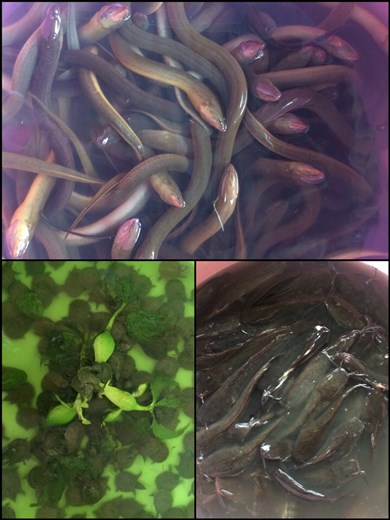 Bon appétit! Tu choisis ton 