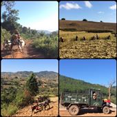 Authentic scenes of rural Myanmar life while trekking. : by finally, Views[281]