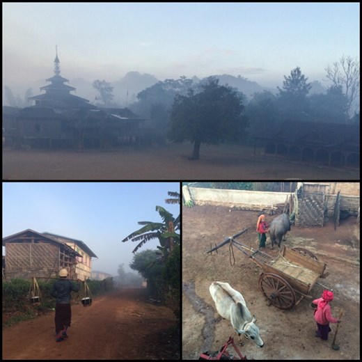 Sunrise views from the balcony of our homestay. So quiet and authentic!