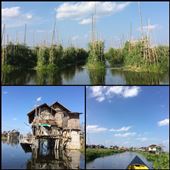 Floating gardens. Fishermen houses on Inle lake. Boat ride on the lake. : by finally, Views[571]