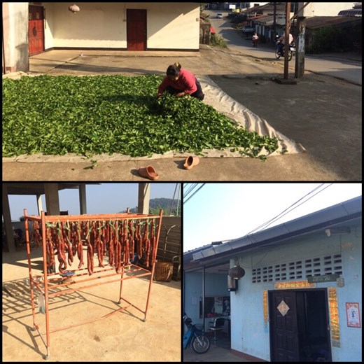 Cette ville est donc chinoise, voire yunnanaise. On y parle le chinois du Yunnan, on y mange la cuisine du Yunnan, les panneaux des commerces sont en chinois avant d’être en thaï. Ils produisent principalement du thé vert, le fameux thé oolong et de la très bonne saucisse à la citronnelle. 