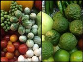 Shopping for vegetables at the local market for our cooking class. On the left, there are tiny eggplants that look like green peas. On the right, kefir limes. : by finally, Views[253]