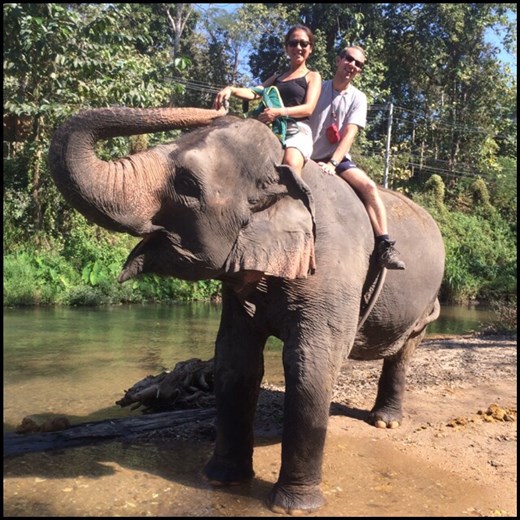 Bareback elephant ride. Not so comfortable! And rather scary, you always feel like you're going to fall off!