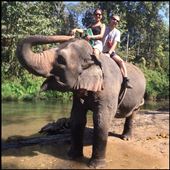 Bareback elephant ride. Not so comfortable! And rather scary, you always feel like you're going to fall off!: by finally, Views[289]