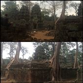 First ones in line for the Ta Prohm 