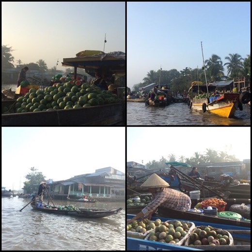 Les marchés flottant commencent dès l'aube du coup on était sur l'eau à 5h du matin deux jours de suite car nous en avons visité plusieurs à différents endroits du delta. 
