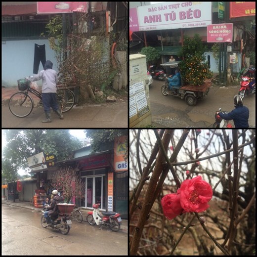 En pleine préparation du nouvel an lunaire/chinois. 