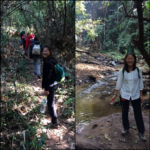 Day 1: trek in the jungle. The guide made us a jungle leaf hat. :-) 
