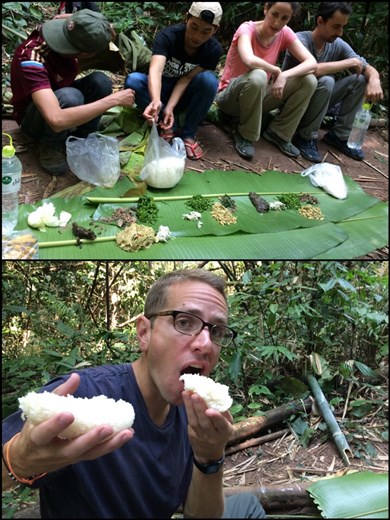 Lunch time in the jungle. First time in this round the world trip, we eat with our hands. Luckily the rice is very sticky! 