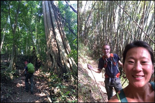 Trekking through the jungle and then a bamboo forest. 