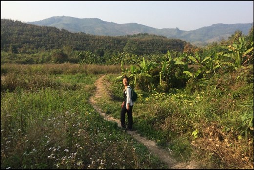 Leaves are changing color even if it's winter here in Laos. 