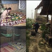 Life at our very basic homestay. Great experience! : by finally, Views[274]