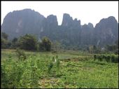 Superbe paysage comme celui-ci qui amène à venir à Vang Vieng. : by finally, Views[352]
