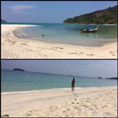 Sand was so hot that AF had to sprint to the water!: by finally, Views[593]