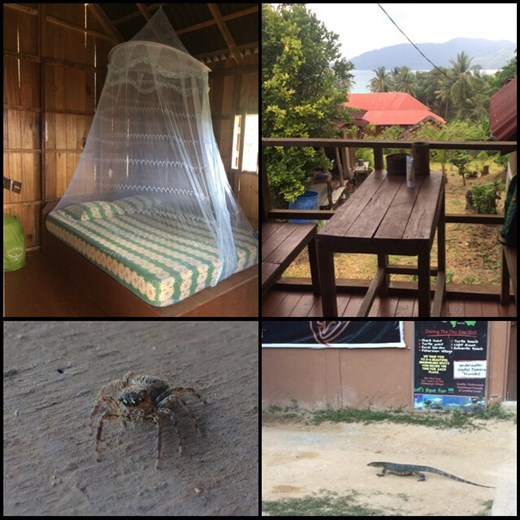 Un petit exemple de chambre dAns un bungalow avec ventilo qui ne marche que la nuit et avec nos 