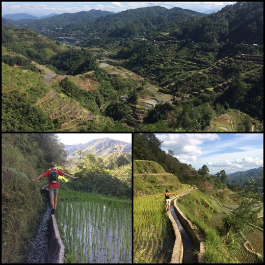 Promenade/randonnée dans les rizières en terrasse à Banaue. Système d'irrigation très impressionnant sachant que tout ça existe depuis 2000 ans. 