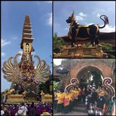 We got lucky to be able to see a royal cremation parade in Ubud. : by finally, Views[801]