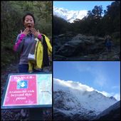 Randonnée jusqu'au glacier de Rob Roy. Heureusement pas d'avalanche ce jour là. : by finally, Views[519]