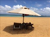 Just enjoying our last days in Sri Lanka before flying to the last country of our adventure, Turkey. : by finally, Views[644]