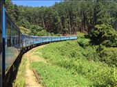 Going through hills and tea plantations: by finally, Views[305]