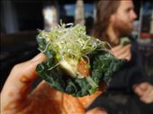 Our own version of breakfast tacos. Kale leaves stuffed with banana and almond paste mashed together, and alfalfa sprouts. Don't knock it until you try it. Easy fresh vegan on the road. : by findingchrisstanley, Views[375]