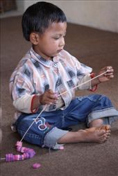 by firststepshimalaya, Views[207]