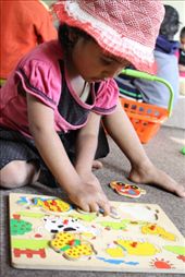 by firststepshimalaya, Views[169]