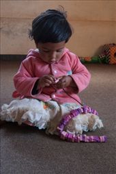 by firststepshimalaya, Views[207]