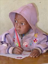 by firststepshimalaya, Views[369]