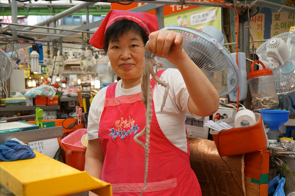 Walking through the Gwangjang Market in Seoul, choosing my raw octopuss lunch. 