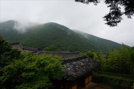 Out of the hustle and bustle of Busan to the peace of the Beomeosa Temple.