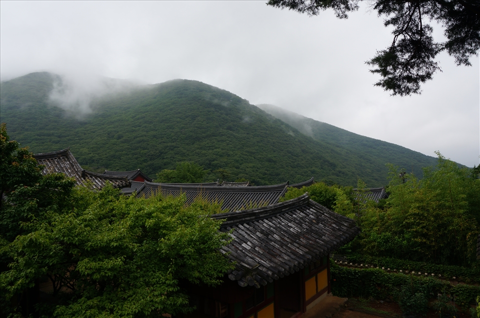 Out of the hustle and bustle of Busan to the peace of the Beomeosa Temple.