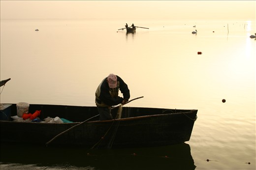 1. Since its creation in the  1930s,the artificial lake Kerkini in northen Greece has become the new home for  people, fish and birds alike, trying -not always succesfully- to live in harmony..For many decades the lake supports a number of fishermen so as to make a living. A nice, cozy morning in the fall, the fishermen went to pick up their nets…


