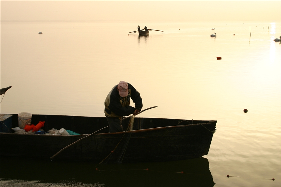 1. Since its creation in the  1930s,the artificial lake Kerkini in northen Greece has become the new home for  people, fish and birds alike, trying -not always succesfully- to live in harmony..For many decades the lake supports a number of fishermen so as to make a living. A nice, cozy morning in the fall, the fishermen went to pick up their nets…

