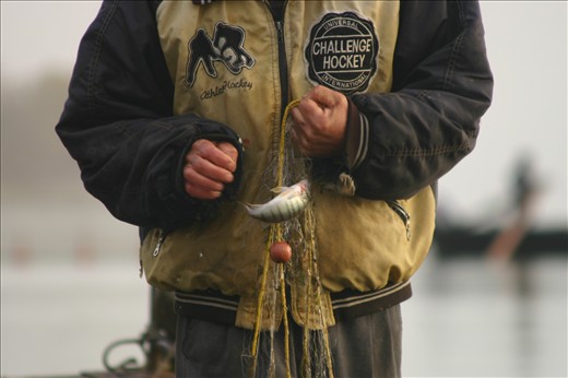 3. “Look what I got”, thought the fisherman as he sees his catch which is one little fish… just one tiny fish…