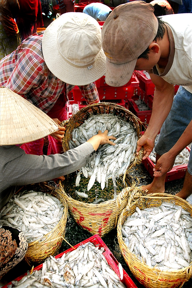 On the way to the market