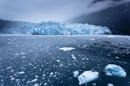 Glaciers in Prince William Sound