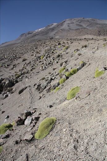Trekking El Misti by Arequipa