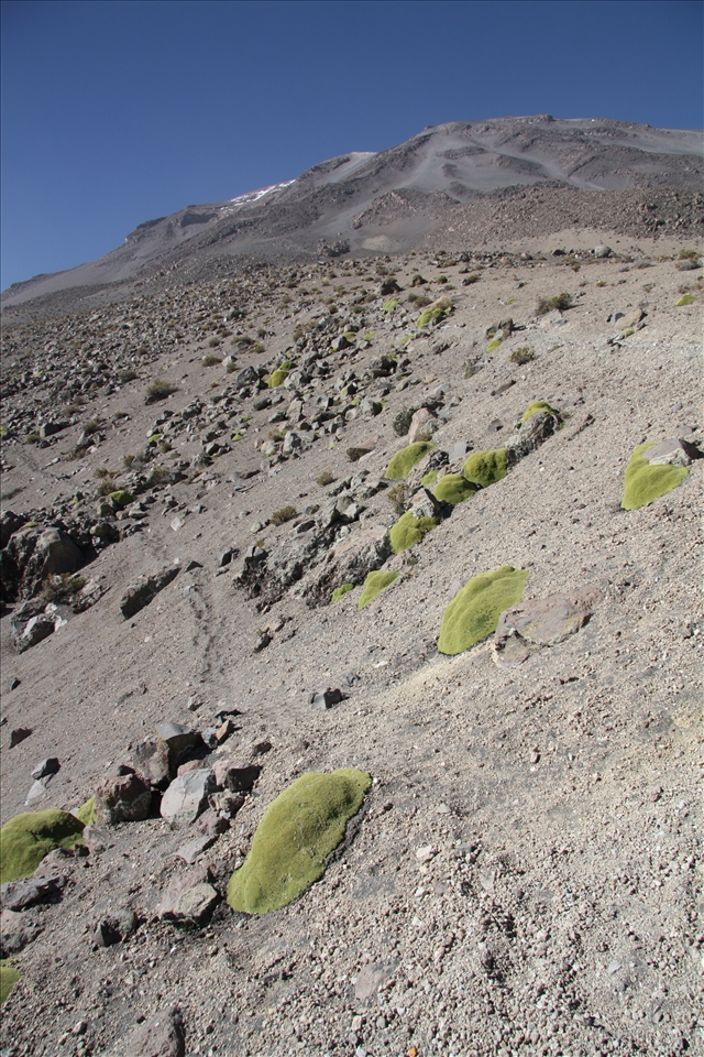 Trekking El Misti by Arequipa
